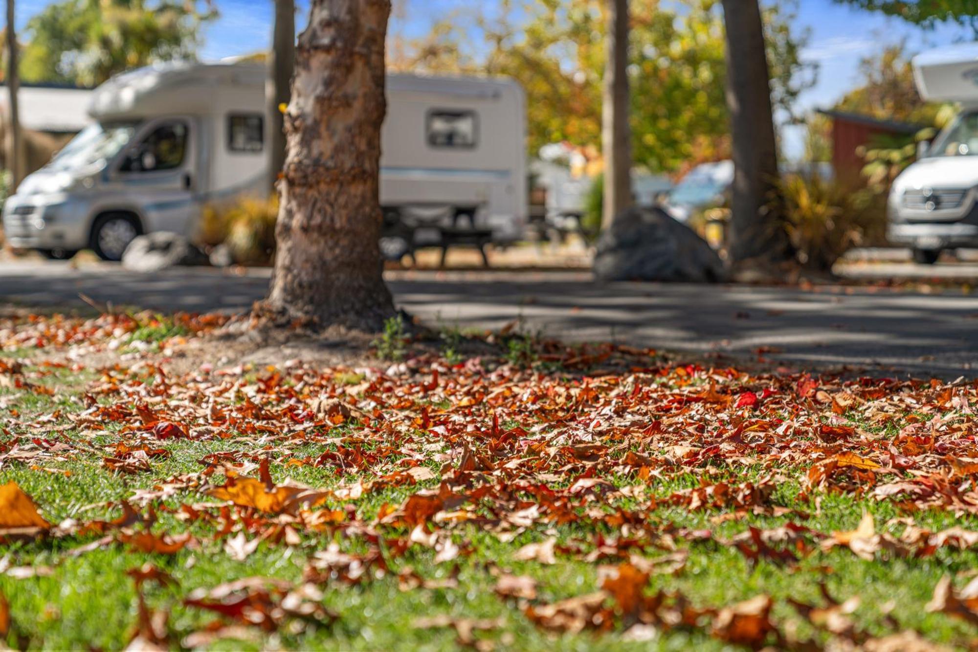 Tasman Holiday Parks - Christchurch Exterior foto Autumn leaves on the ground